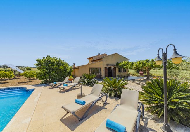 Villa in Santa Margalida - Villa Vernissa Villa in Santa Margalida - Villa Vernissa