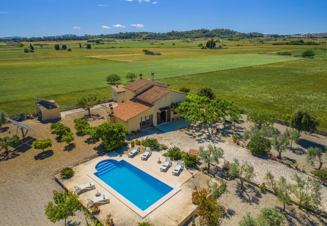 Villa in Santa Margalida - Villa Vernissa Villa in Santa Margalida - Villa Vernissa