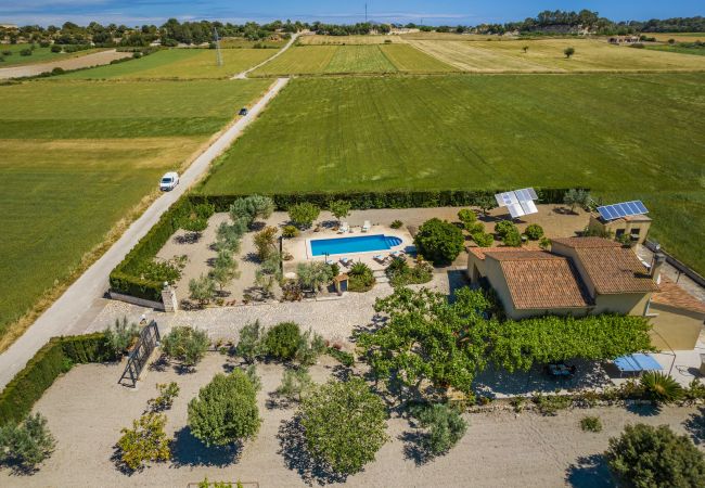 Villa in Santa Margalida - Villa Vernissa Villa in Santa Margalida - Villa Vernissa