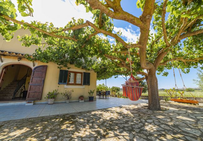 Villa in Santa Margalida - Villa Vernissa Villa in Santa Margalida - Villa Vernissa