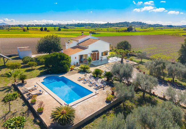 Villa in Santa Margalida - Villa Vernissa