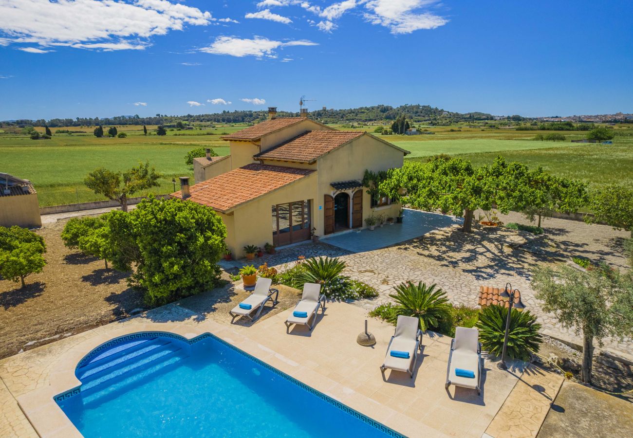 Villa in Santa Margalida - Villa Vernissa Villa in Santa Margalida - Villa Vernissa