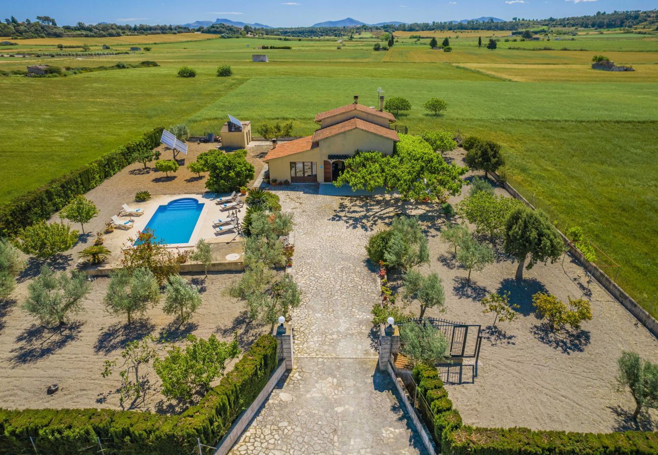Villa in Santa Margalida - Villa Vernissa Villa in Santa Margalida - Villa Vernissa