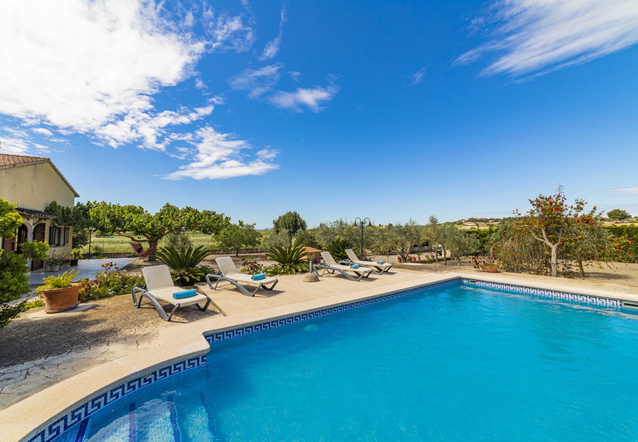Villa in Santa Margalida - Villa Vernissa Villa in Santa Margalida - Villa Vernissa