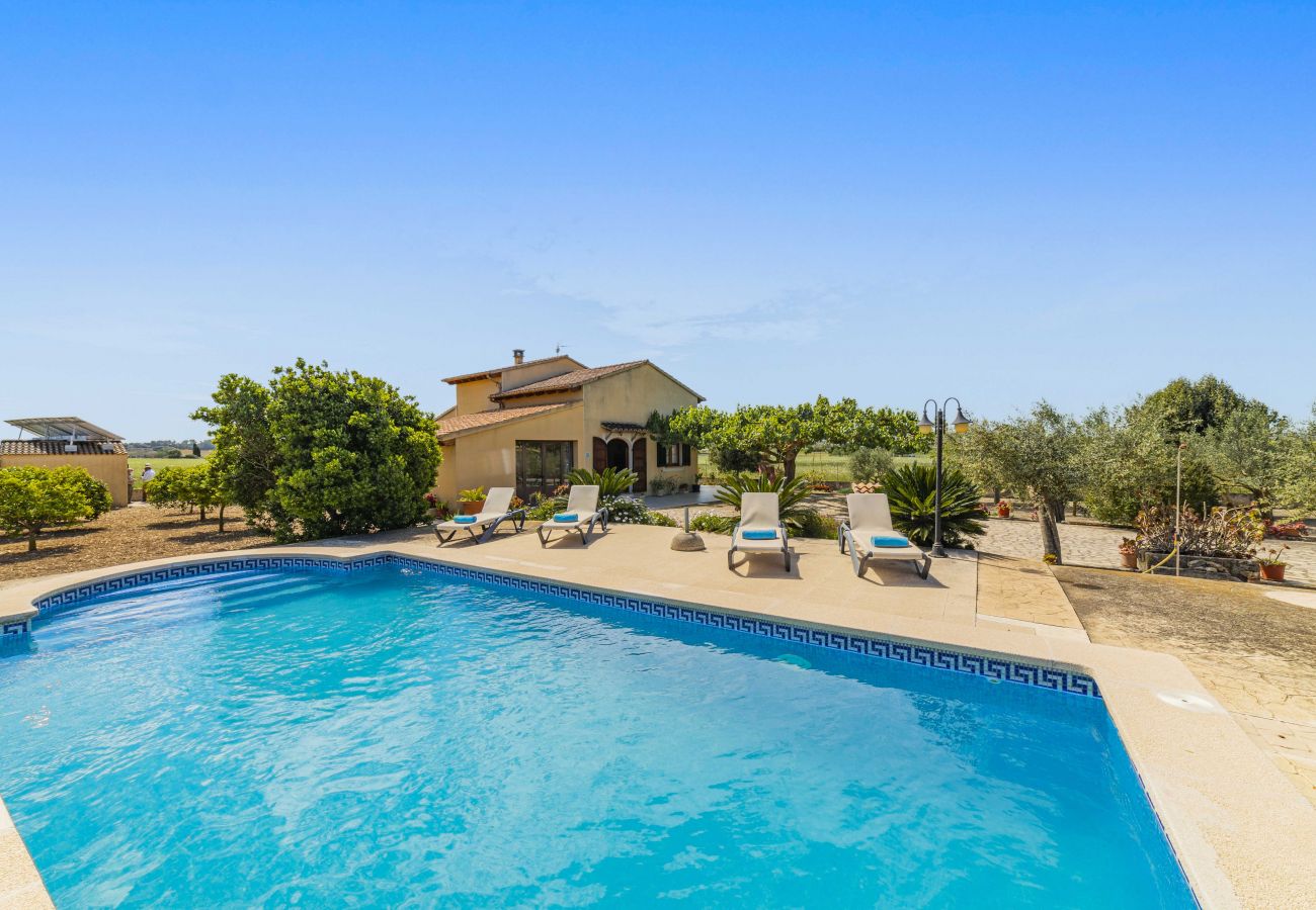 Villa in Santa Margalida - Villa Vernissa Villa in Santa Margalida - Villa Vernissa