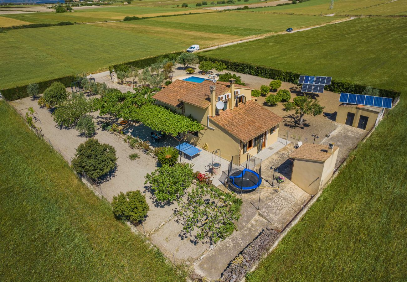 Villa in Santa Margalida - Villa Vernissa Villa in Santa Margalida - Villa Vernissa