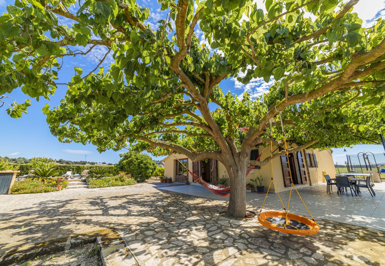 Villa in Santa Margalida - Villa Vernissa Villa in Santa Margalida - Villa Vernissa