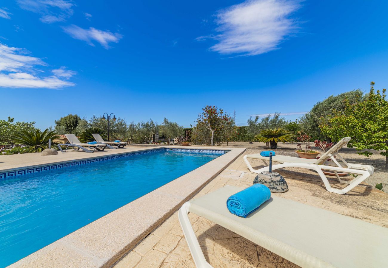 Villa in Santa Margalida - Villa Vernissa Villa in Santa Margalida - Villa Vernissa