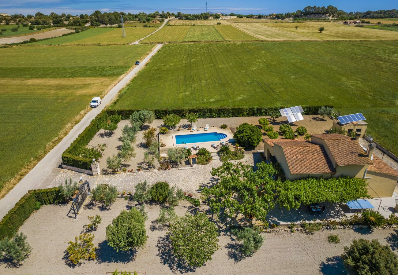 Villa in Santa Margalida - Villa Vernissa Villa in Santa Margalida - Villa Vernissa