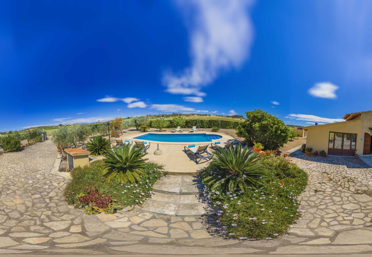 Villa in Santa Margalida - Villa Vernissa Villa in Santa Margalida - Villa Vernissa