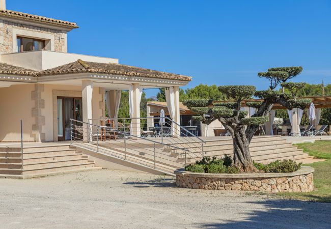 Villa in Alcudia - Villa Can Magnus Villa in Alcudia - Villa Can Magnus