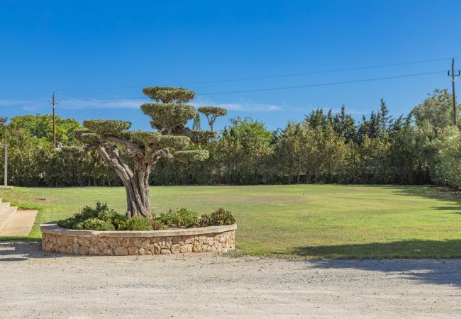Villa in Alcudia - Villa Can Magnus Villa in Alcudia - Villa Can Magnus