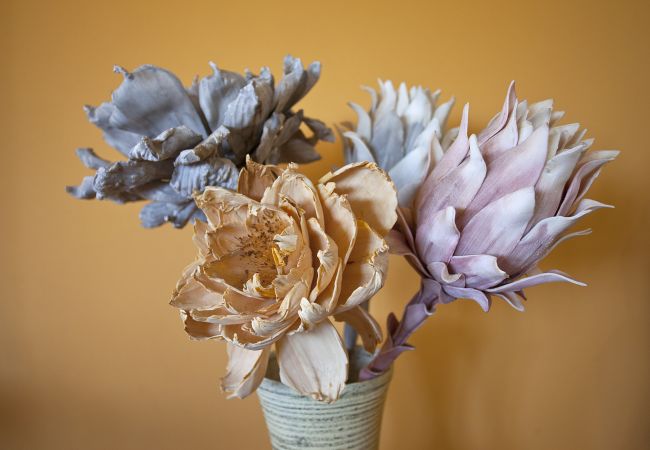 Villa in Alcudia - Villa Catalina Villa in Alcudia - Villa Catalina