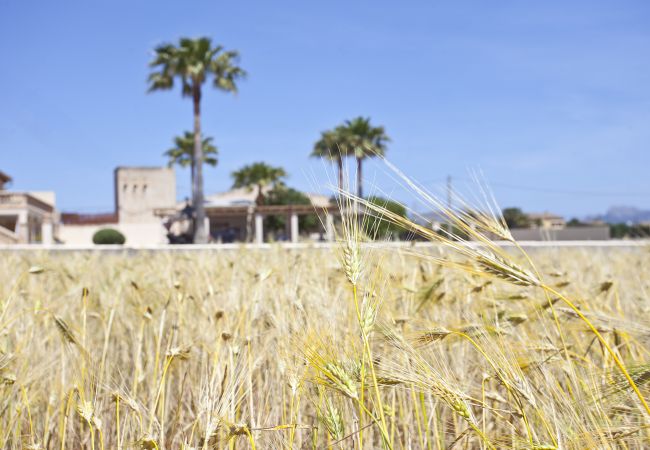 Villa in Alcudia - Villa Catalina Villa in Alcudia - Villa Catalina