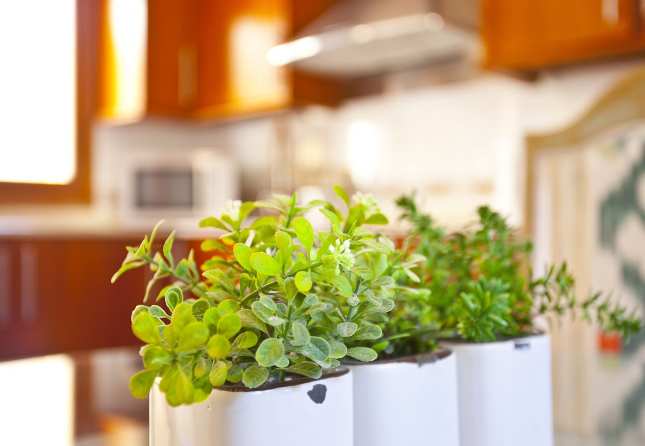 Villa in Alcudia - Villa Catalina Villa in Alcudia - Villa Catalina