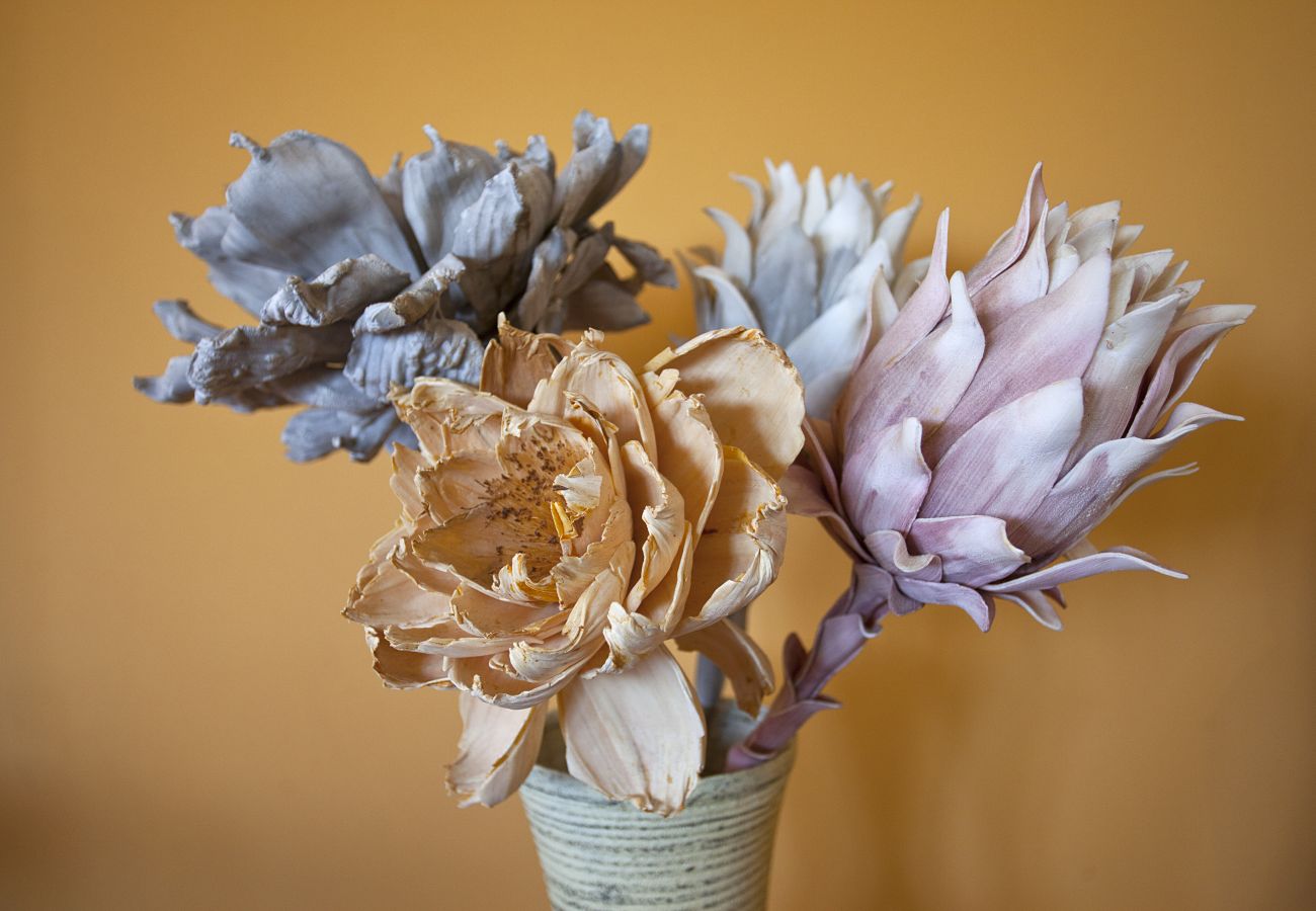 Villa in Alcudia - Villa Catalina Villa in Alcudia - Villa Catalina