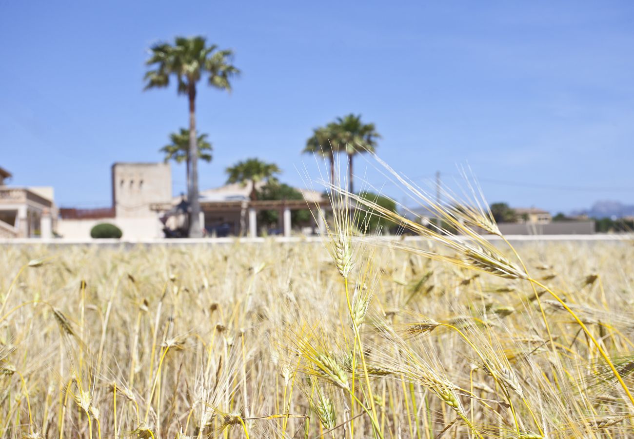 Villa in Alcudia - Villa Catalina Villa in Alcudia - Villa Catalina