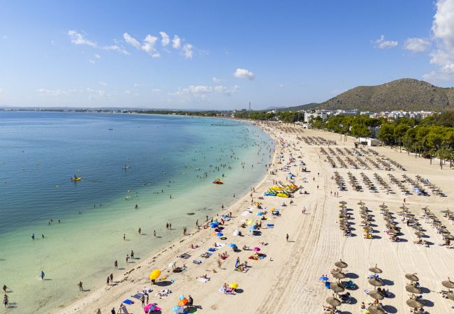 Apartment in Puerto de Alcudia - Apartamento Carabela 51 Apartment in Puerto de Alcudia - Apartamento Carabela 51