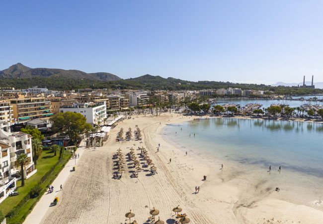 Apartment in Puerto de Alcudia - Apartamento Carabela 51 Apartment in Puerto de Alcudia - Apartamento Carabela 51