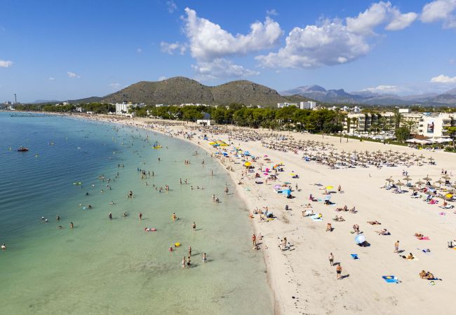 Apartment in Puerto de Alcudia - Apartamento Carabela 51 Apartment in Puerto de Alcudia - Apartamento Carabela 51