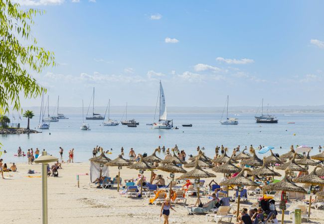 Apartment in Puerto de Alcudia - Apartamento Carabela 51 Apartment in Puerto de Alcudia - Apartamento Carabela 51