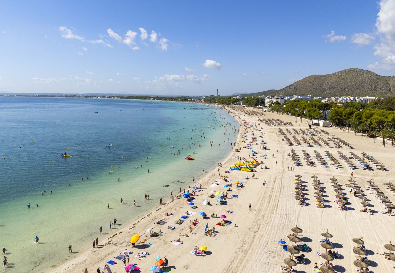 Apartment in Puerto de Alcudia - Apartamento Carabela 51 Apartment in Puerto de Alcudia - Apartamento Carabela 51