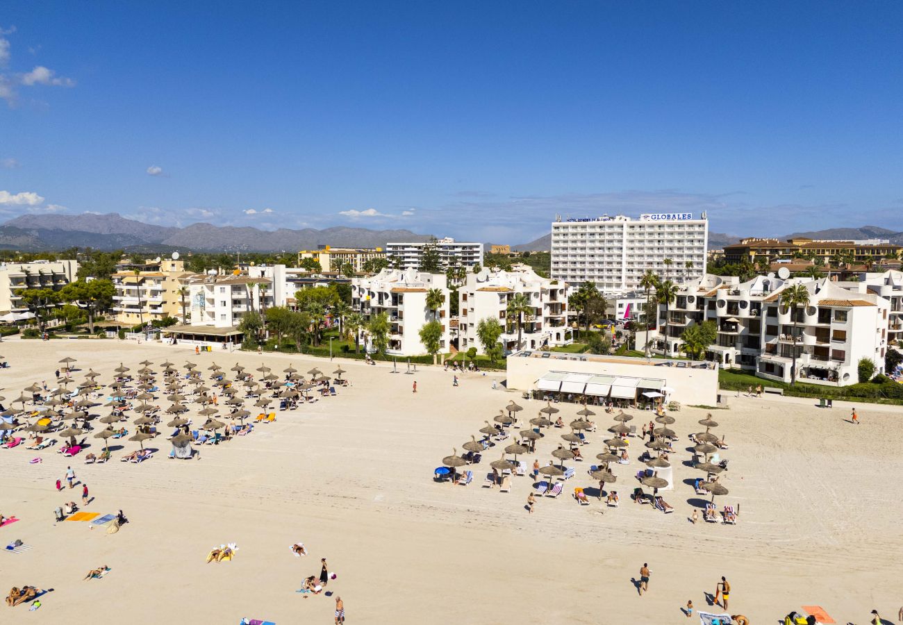 Apartment in Puerto de Alcudia - Apartamento Carabela 51 Apartment in Puerto de Alcudia - Apartamento Carabela 51