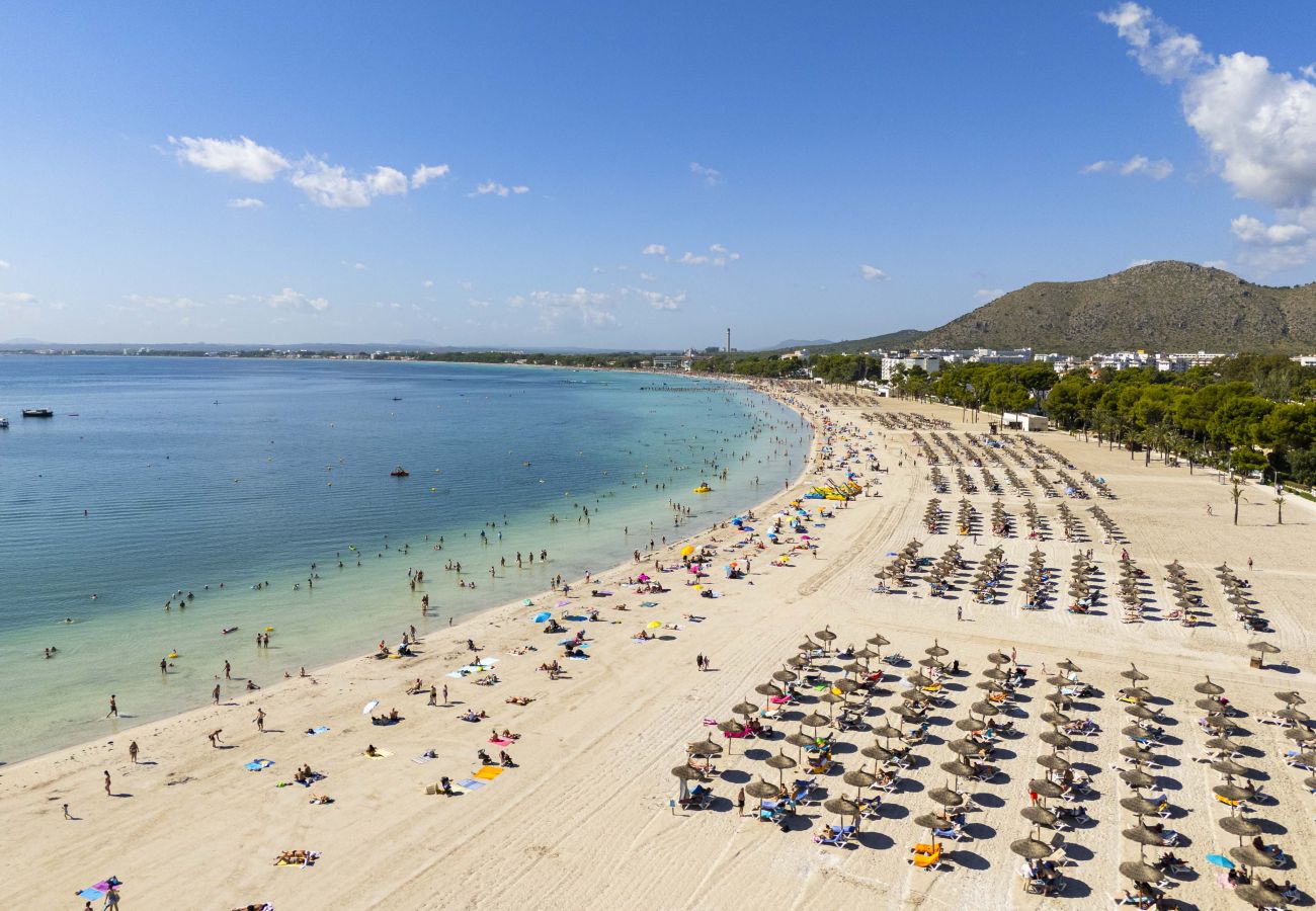 Apartment in Puerto de Alcudia - Apartamento Carabela 51 Apartment in Puerto de Alcudia - Apartamento Carabela 51