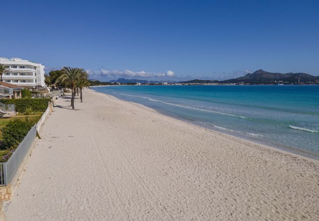 Apartment in Puerto de Alcudia - Apartamento Vista Brava Apartment in Puerto de Alcudia - Apartamento Vista Brava