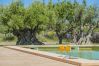Villa in Alcudia - Villa Can Segue Villa in Alcudia - Villa Can Segue