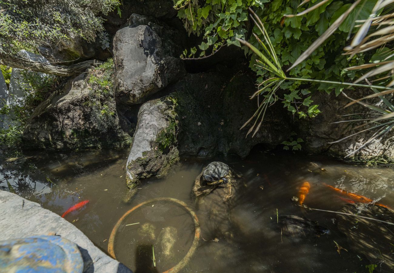 Villa in Playa de Muro - Villa Plomer Serra Villa in Playa de Muro - Villa Plomer Serra