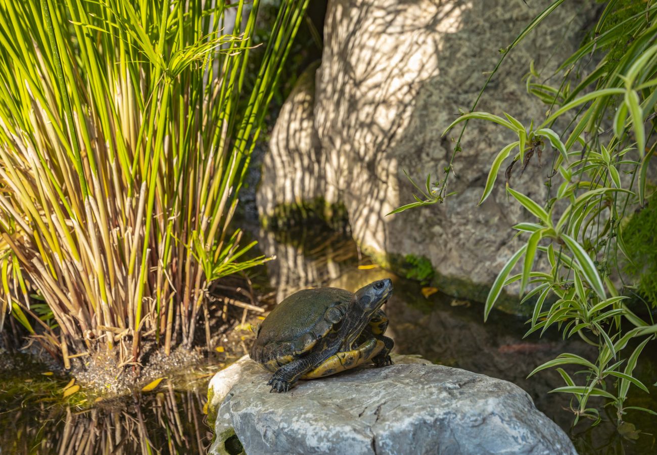 Villa in Playa de Muro - Villa Plomer Serra Villa in Playa de Muro - Villa Plomer Serra